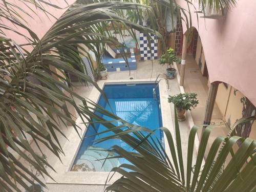 Sall Africa Tourisme in Saly Sall Africa Tourisme in Saly