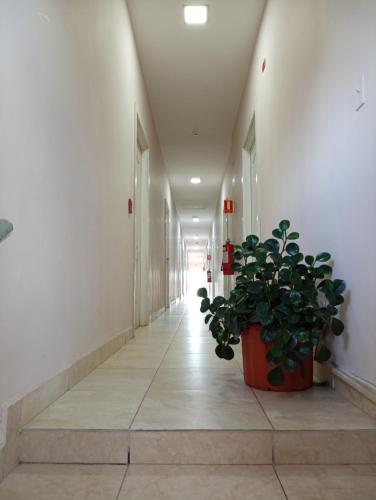 A szálláshely kívülről, Brisas de Coclé (Brisas de Cocle) in Penonome A szálláshely kívülről, Brisas de Coclé (Brisas de Cocle) in Penonome