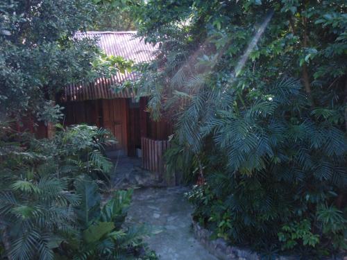 Guest house Posada Ixchel in 엘 레마테 Guest house Posada Ixchel in 엘 레마테