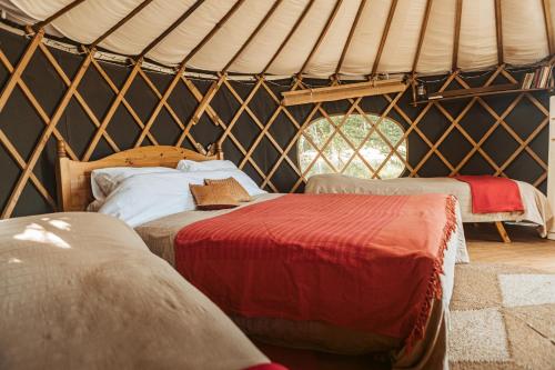 Beech Yurt in Fernhurst Beech Yurt in Fernhurst