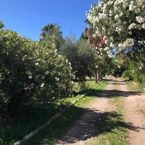 San Rafael del Diamante apartamentos in Rama Caida San Rafael del Diamante apartamentos in Rama Caida