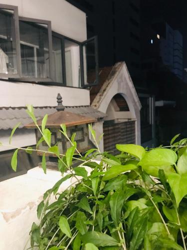 AMANGO HOSTEL in Ho Chi Minh Stad AMANGO HOSTEL in Ho Chi Minh Stad