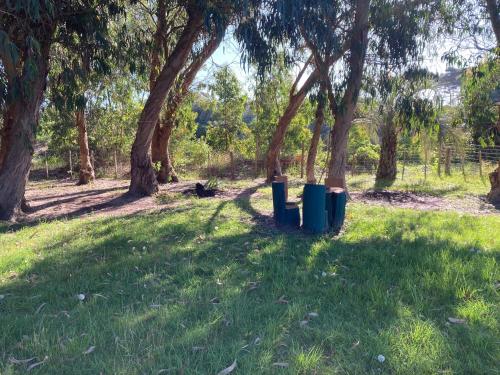 المنطقة المحيطة, Las Margaritas in La Coronilla المنطقة المحيطة, Las Margaritas in La Coronilla