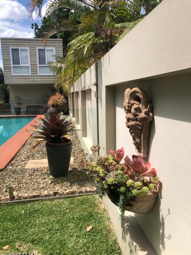 Bazen, Guesthouse with Pool & BBQ - 10 kms from CBD in Marrickville Bazen, Guesthouse with Pool & BBQ - 10 kms from CBD in Marrickville