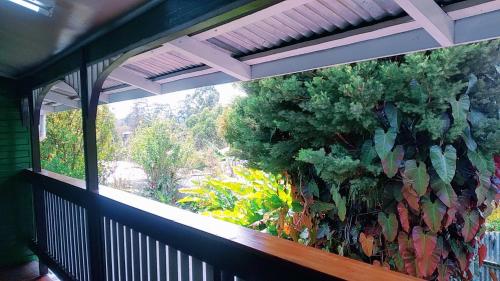 Сад, Shalom Mission Home in Mount Hagen Сад, Shalom Mission Home in Mount Hagen