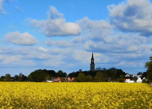 View, Liebevoll hinterm Deich - Ferienwohnungen in Lehe View, Liebevoll hinterm Deich - Ferienwohnungen in Lehe