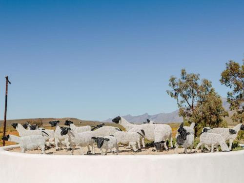Фасада на хотела, AfriCamps at Karoo 1 in Touws River Фасада на хотела, AfriCamps at Karoo 1 in Touws River