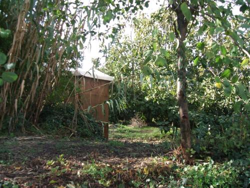 This photo about Su Ghindalu Guesthouse shared on HyHotel.com