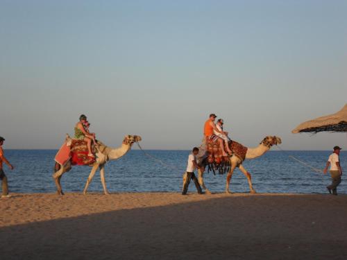 This photo about Avrio Red Sea Apartments shared on HyHotel.com