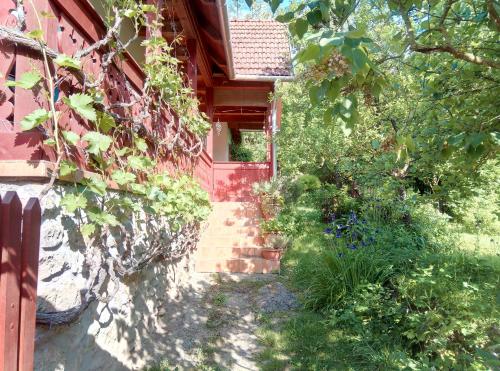 Balcony/terrace, Forrasvolgy apartman in Josvafo Balcony/terrace, Forrasvolgy apartman in Josvafo