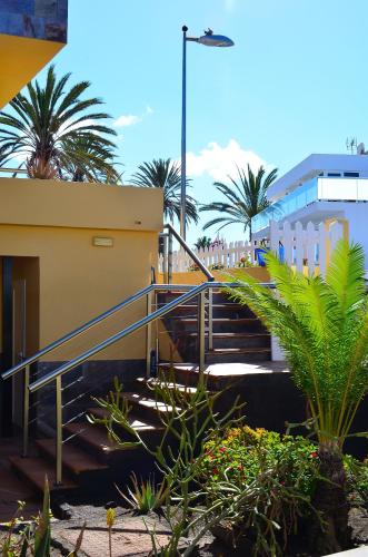 apartamentos en maspalomas gran canaria baratos apartamentos oasis maspalomas maspalomas gran canaria apartamentos en maspalomas gran canaria baratos apartamentos oasis maspalomas maspalomas gran canaria
