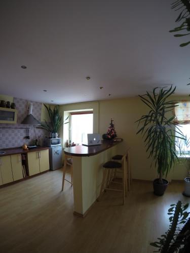 Konyha, Green Hall apartment in Ignalina Konyha, Green Hall apartment in Ignalina