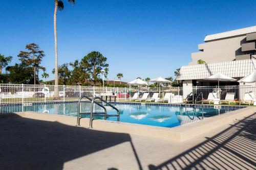 Piscina, Palazzo Lakeside Hotel in Orlando (FL) Piscina, Palazzo Lakeside Hotel in Orlando (FL)