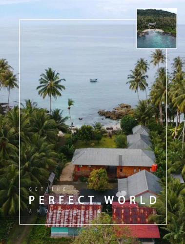 Coconut Island Surfstay Simeulue in Matanurung Coconut Island Surfstay Simeulue in Matanurung