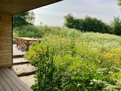 حديقة, Nachtegael Zomerhuis, idyllische woning in de Vlaamse Ardennen in Kluisbergen حديقة, Nachtegael Zomerhuis, idyllische woning in de Vlaamse Ardennen in Kluisbergen