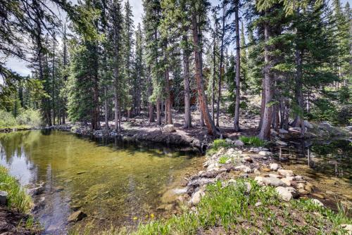 Dog-Friendly Fairplay Vacation Rental with Deck! in Alma (CO) Dog-Friendly Fairplay Vacation Rental with Deck! in Alma (CO)