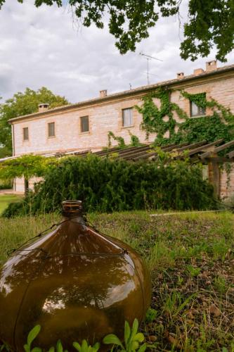 Agriturismo Dai Mori in Montefelcino Agriturismo Dai Mori in Montefelcino
