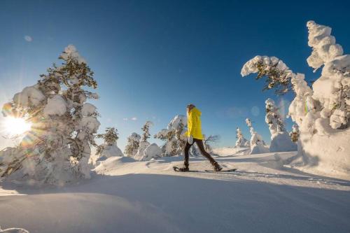 Otso 29, kahden makuuhuoneen mokki Syotteella valaistun ladun vieressa in Syote Otso 29, kahden makuuhuoneen mokki Syotteella valaistun ladun vieressa in Syote
