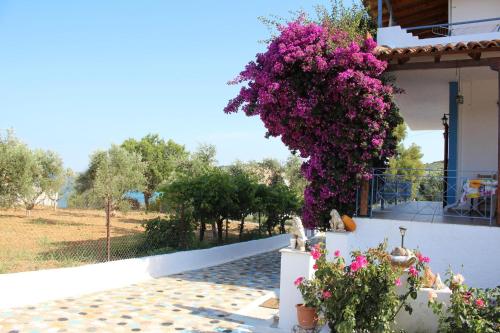 Exterior view, Akrojali in Mirtia Exterior view, Akrojali in Mirtia