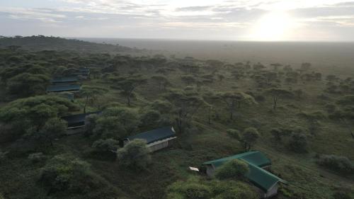 Serengeti Woodlands Camp in Serengeti Serengeti Woodlands Camp in Serengeti