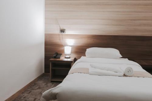Hotel Apollo Central in Sibiu Hotel Apollo Central in Sibiu