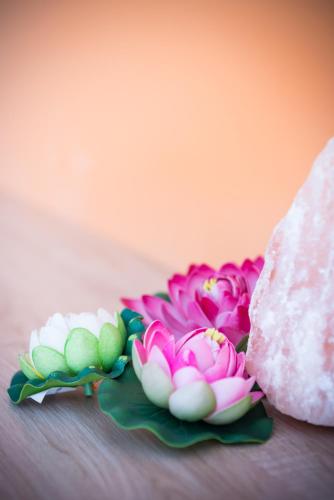 This photo about Rozsahaz Heviz Apartments shared on HyHotel.com