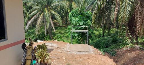 Homestay Bonda Kulim in Karangan Homestay Bonda Kulim in Karangan