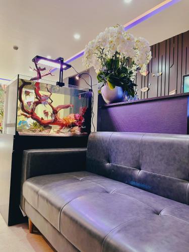 DT Hotel Hai Phong in Thuong Ly/Quan Toan DT Hotel Hai Phong in Thuong Ly/Quan Toan