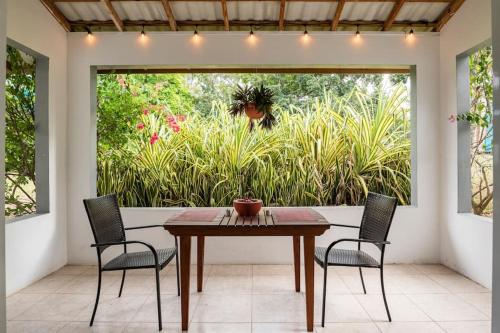 Garden Apartment-Beach-5min Drive, 1 hr Montego Bay, 25 mins Ocho Rios, Welcome Breakfast Basket in Runaway Bay Garden Apartment-Beach-5min Drive, 1 hr Montego Bay, 25 mins Ocho Rios, Welcome Breakfast Basket in Runaway Bay