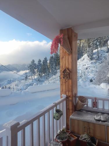 Majestic Himalayan homestay in Daroli Majestic Himalayan homestay in Daroli