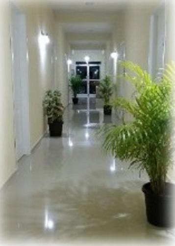 HOTEL SAN JOSE in Chablé HOTEL SAN JOSE in Chablé