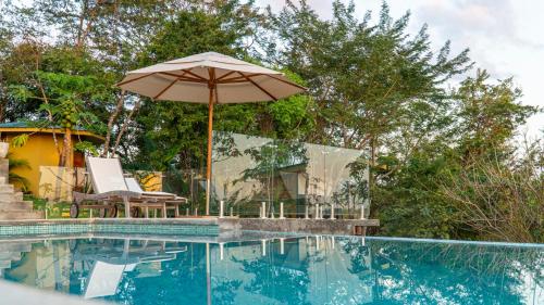 Piscine, Purple Valley Luxury 20 acres of forest in San Juanillo Piscine, Purple Valley Luxury 20 acres of forest in San Juanillo