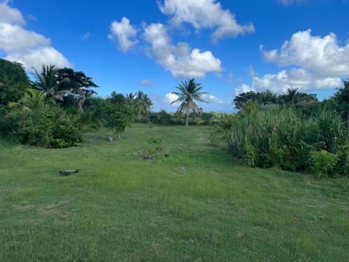 Spacious Get Away Home in Frederiksted Spacious Get Away Home in Frederiksted