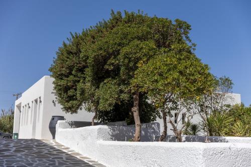 Naxos green Village hotel in เกาะแนโซส Naxos green Village hotel in เกาะแนโซส