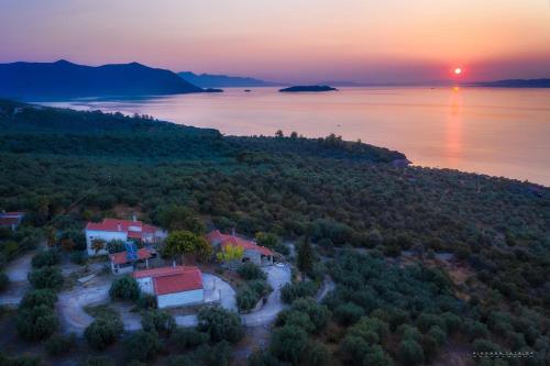 SIX INDEPENDENT HOUSES BY THE sea in Glifa SIX INDEPENDENT HOUSES BY THE sea in Glifa