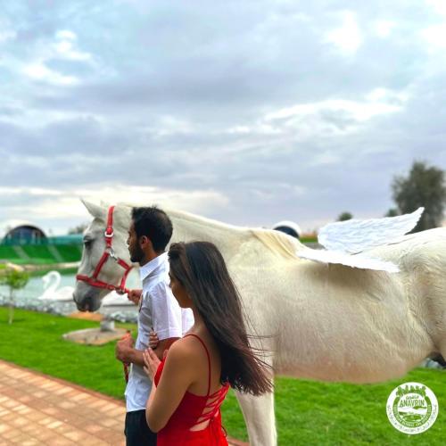 Anavrin Equestrian Retreat in Khatt Anavrin Equestrian Retreat in Khatt