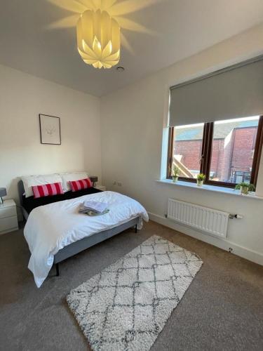 2 Bedroom House with Garden Next to River Tees in Stockton-on-Tees 2 Bedroom House with Garden Next to River Tees in Stockton-on-Tees