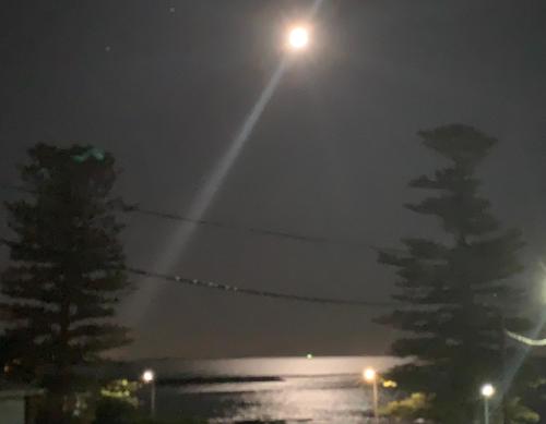 貝殼港鵜鶘休閒公寓 (Pelicans Rest Shellharbour) in 謝爾哈伯 貝殼港鵜鶘休閒公寓 (Pelicans Rest Shellharbour) in 謝爾哈伯
