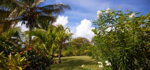 Garden, Mango Villa- Come relax & unwind in this seaside retreat! in Micoud Garden, Mango Villa- Come relax & unwind in this seaside retreat! in Micoud