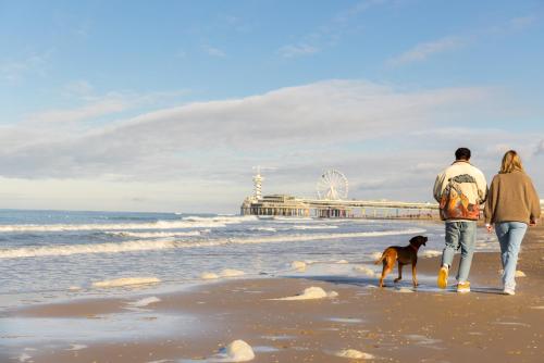 Beach, Ocean House Scheveningen in The Hague Beach, Ocean House Scheveningen in The Hague