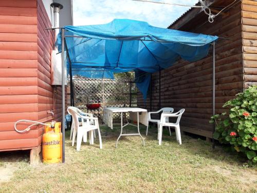 Rosa Herminia in Limache Rosa Herminia in Limache