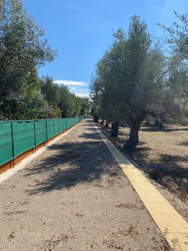 Natural Retreat Shelter #Unoblu® in Agrilia (Aitolia kai Akarnania) Natural Retreat Shelter #Unoblu® in Agrilia (Aitolia kai Akarnania)