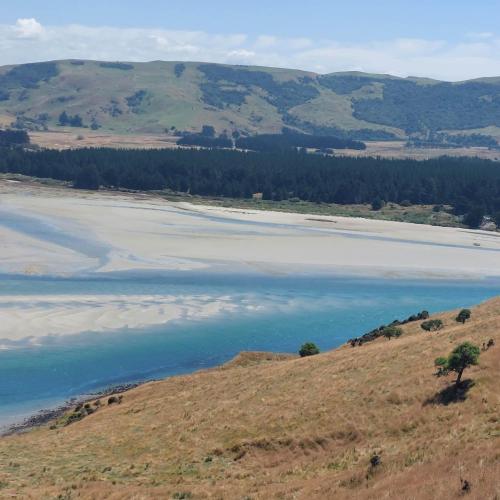Otago Peninsula Paradise in Macandrew Bay Otago Peninsula Paradise in Macandrew Bay