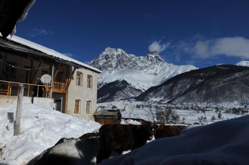 Palvelut, Guest House Murkvam in Bagvdanari Palvelut, Guest House Murkvam in Bagvdanari