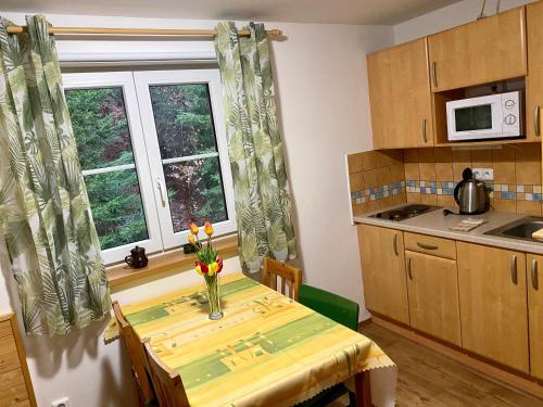 ห้องครัว, Alba Apartmany Železná Ruda (Alba Apartmany Zelezna Ruda) in ใจกลางเมืองเจเลซนารูดา ห้องครัว, Alba Apartmany Železná Ruda (Alba Apartmany Zelezna Ruda) in ใจกลางเมืองเจเลซนารูดา
