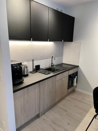 Harmonia Apartments in Ustowo Harmonia Apartments in Ustowo