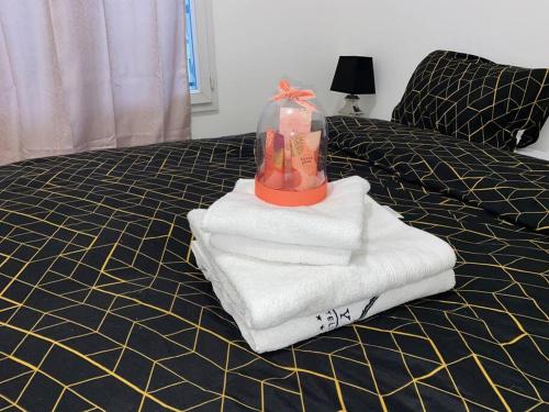 appartement luxueux 70m2, 2 chambres