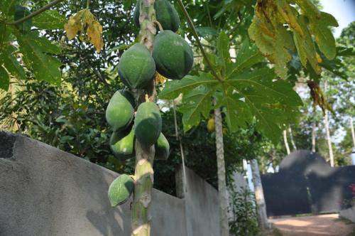 This photo about Karma Guesthouse shared on HyHotel.com