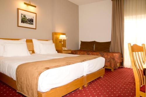 Hotel Rainha D. Amelia, Arts & Leisure in קסטלו ברנקו Hotel Rainha D. Amelia, Arts & Leisure in קסטלו ברנקו