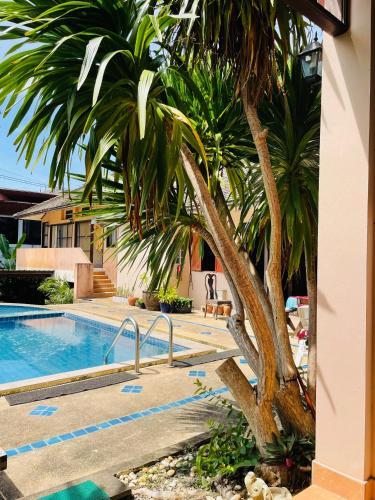 オアシス ハクナ マタタ19